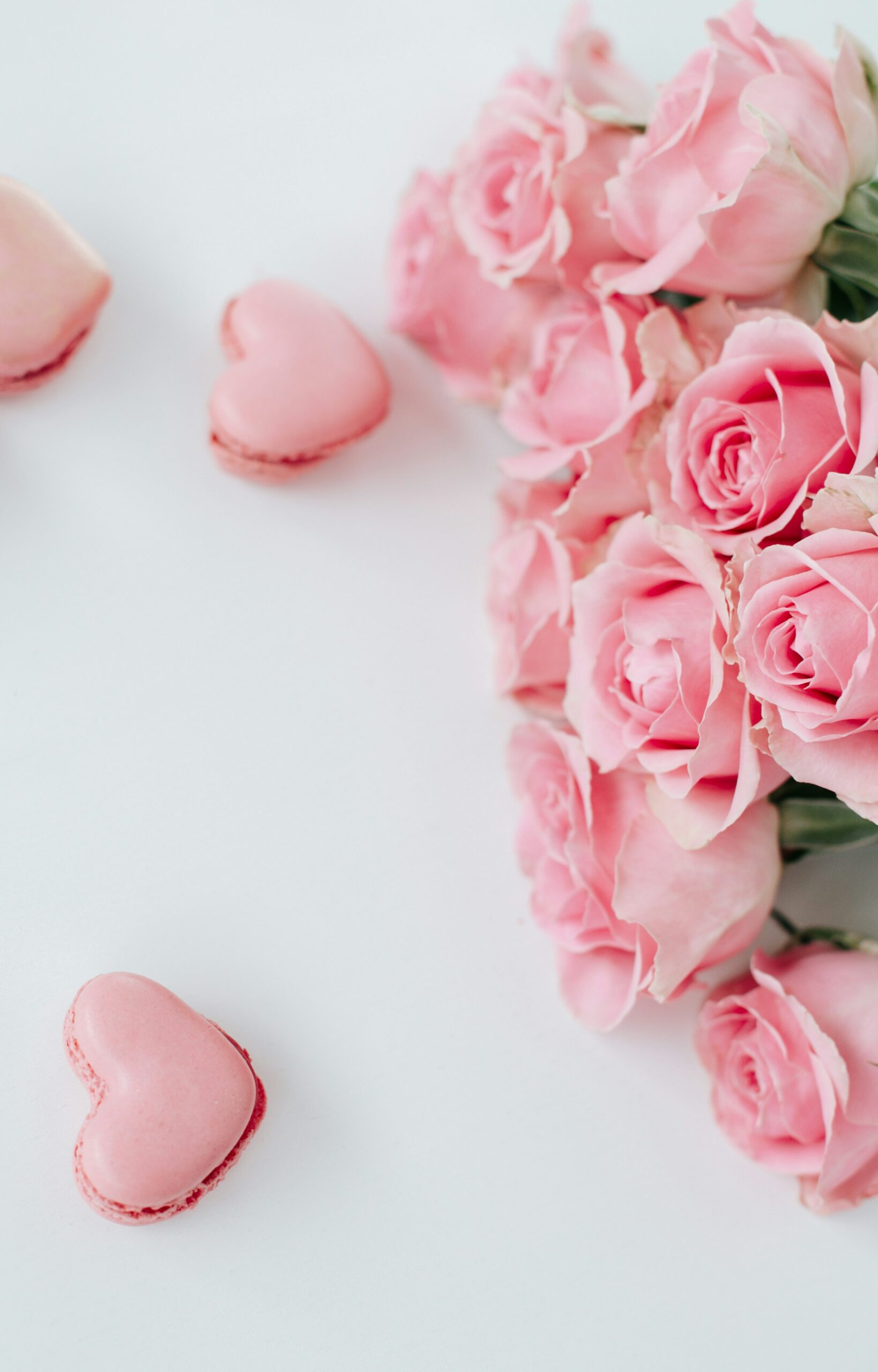 70,000+ Free Roze Bloem & Flowers Images - Pixabay